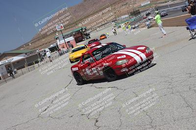 media/May-31-2025-CalClub SCCA (Sat) [[2c1a04e1ee]]/Around the Pits/
